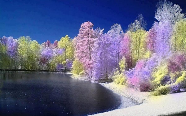 Природа Вдохновение