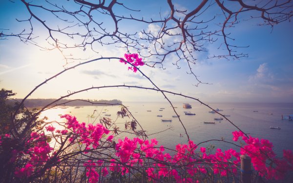 Пейзаж с рекой