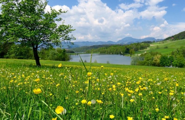 Добрый вечер в деревне