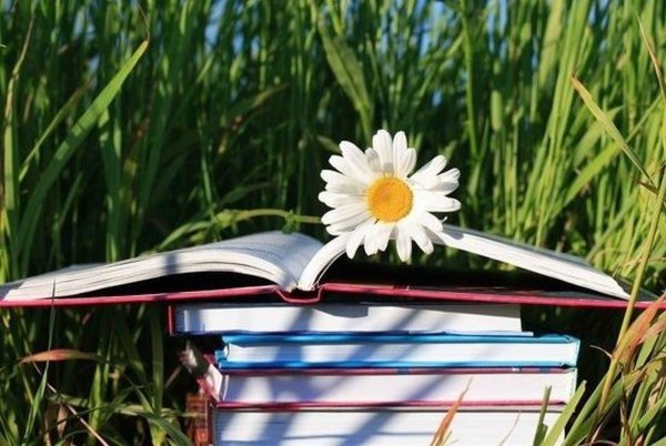Летнее чтение