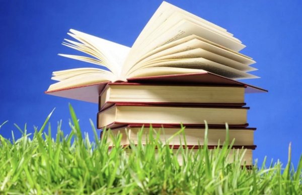 Книга летом