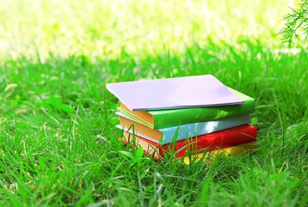 Летняя подборка книг