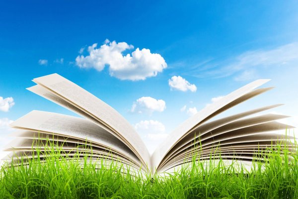 Лето с книгой в библиотеке