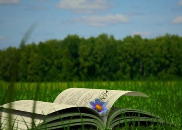 Летнее чтение