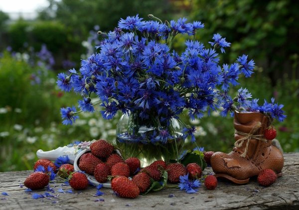 Букет полевых цветов и земляники