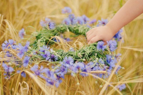 Венок с колосьями и полевыми цветами