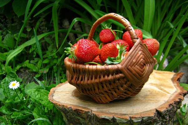 Земляника в корзинке