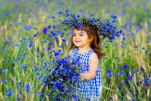 Девушка в Васильковом поле