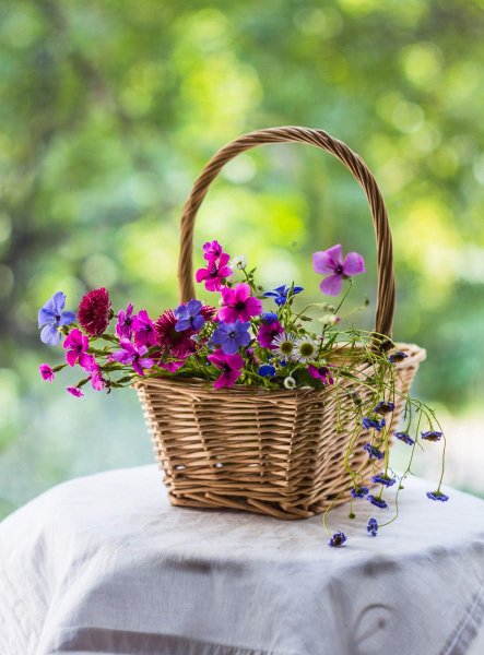 Клубника в корзинке