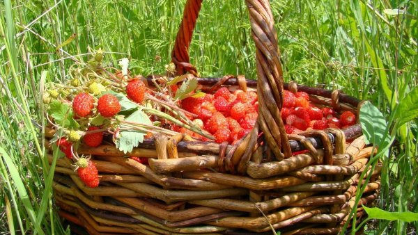 Клубника в корзинке