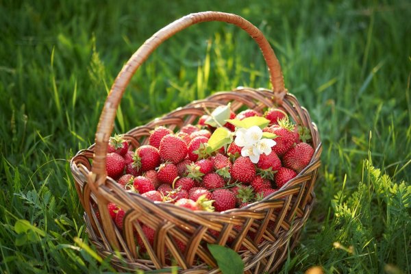 Полевые цветы в корзине