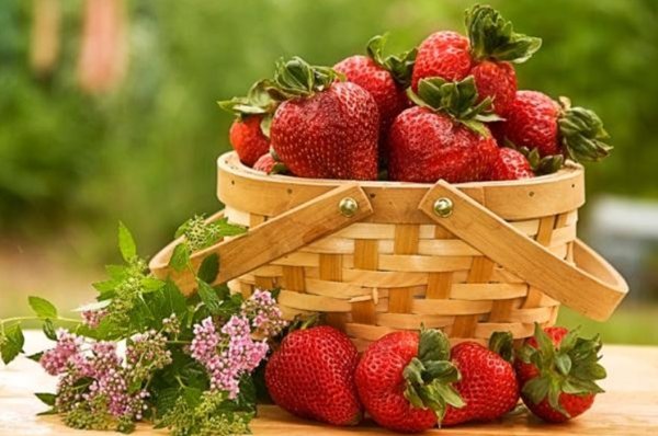 Ягоды летом