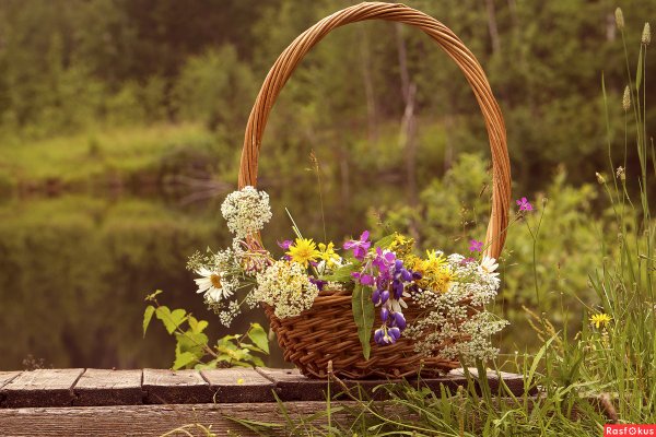 Конец августа природа