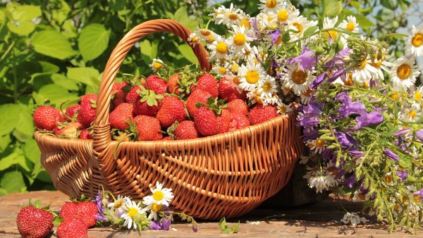 Корзинка с ягодами