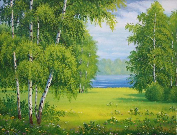 Летний пейзаж с березами