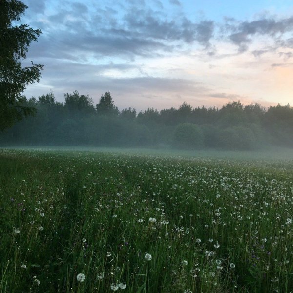 Летняя грусть