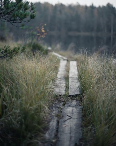 Унылое лето