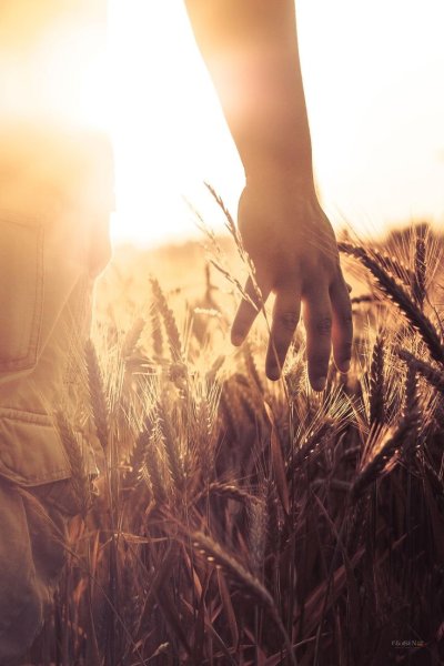 Летняя грусть