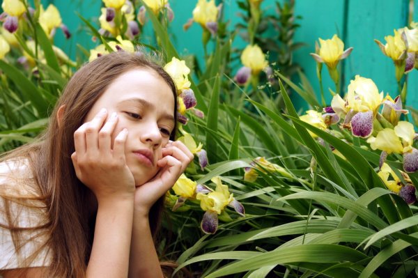 Грусть о лете