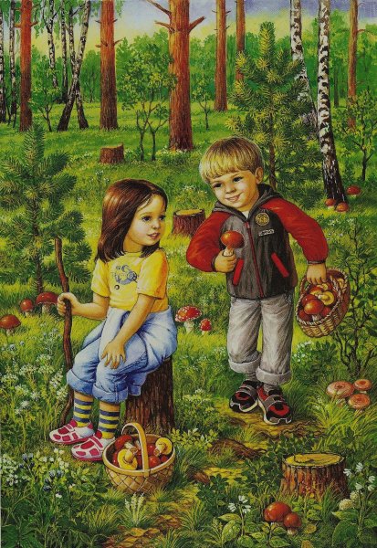 Летний лес