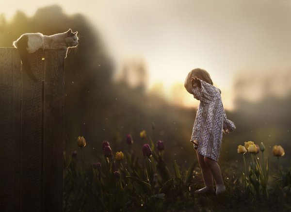 Elena Shumilova фотограф
