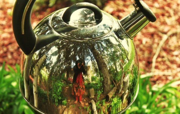 Чайник на чайнике