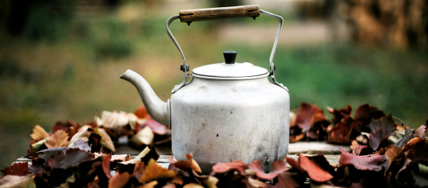 Чайник осень