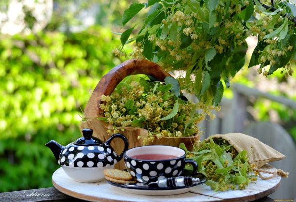 Чаепитие на даче