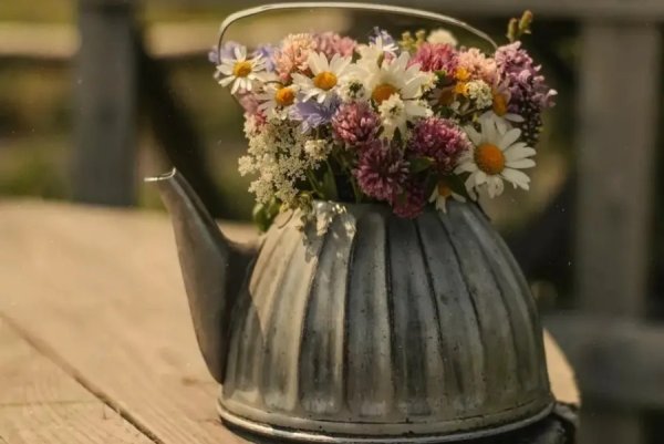 Чайник полевой цветок