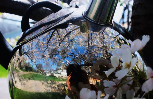 Отражение лица в чайнике