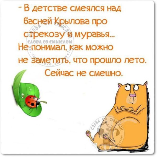 Анекдоты про 1 сентября