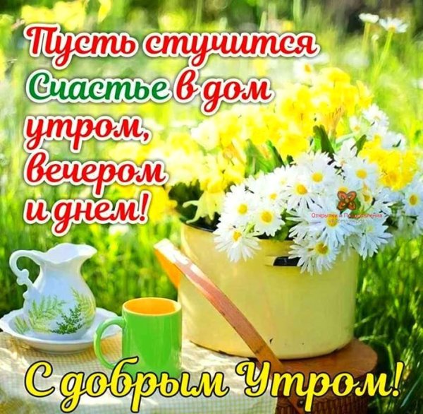 Доброе утро летние с улыбкой