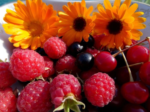 Цветы и ягоды