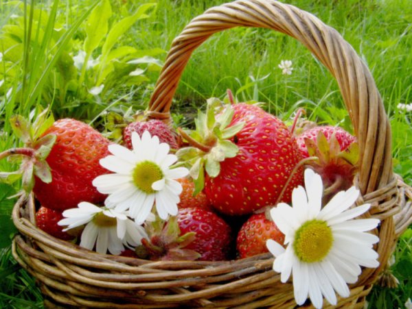 Картинки на свой вкус