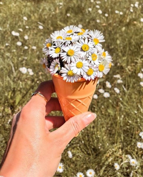 Картинка пейзаж для клуба