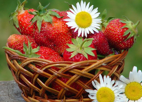 Летние ягоды