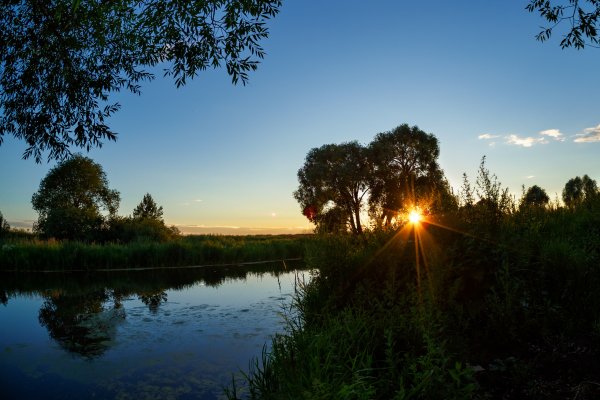Доброе утро грибы ягоды