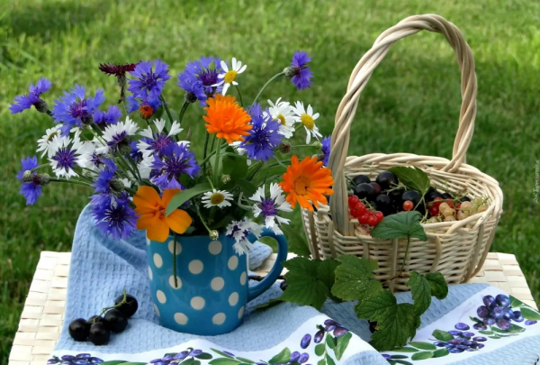 Сиреневые ромашки