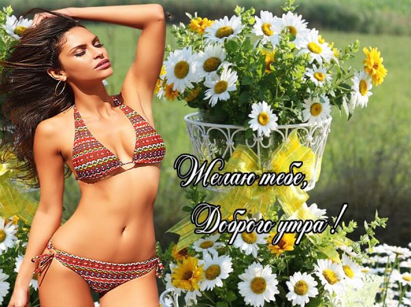 Летние цветы