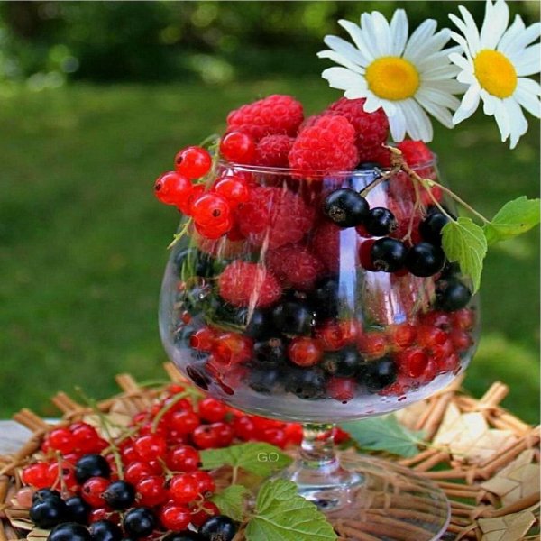 Кусочек лета осенью