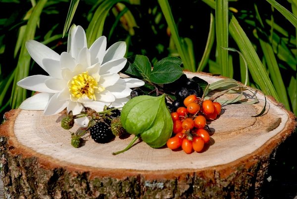 Моменты лета фото