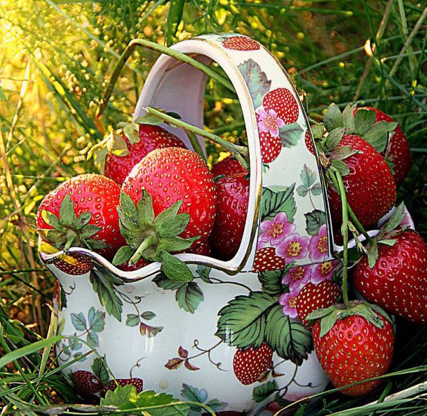 Открытки летнего настроения