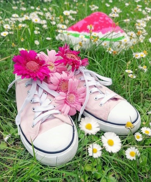 Солнечный цветок