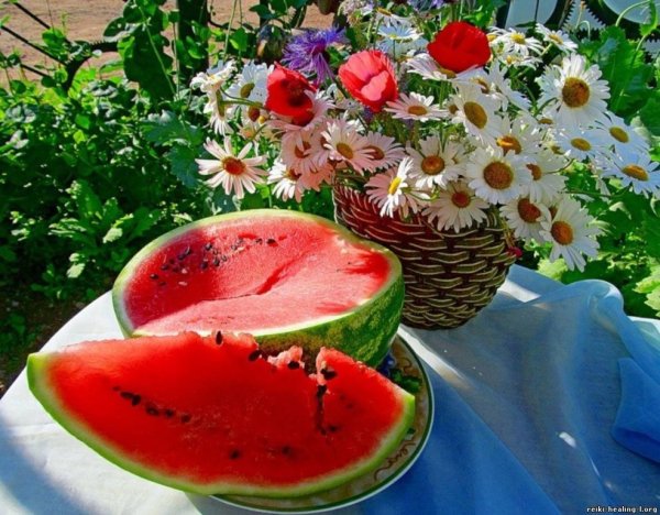 Доброго летнего утра с детьми