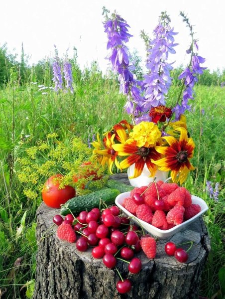 Летние цветы и ягоды