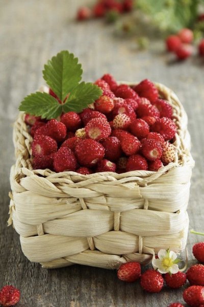 Аромат лета