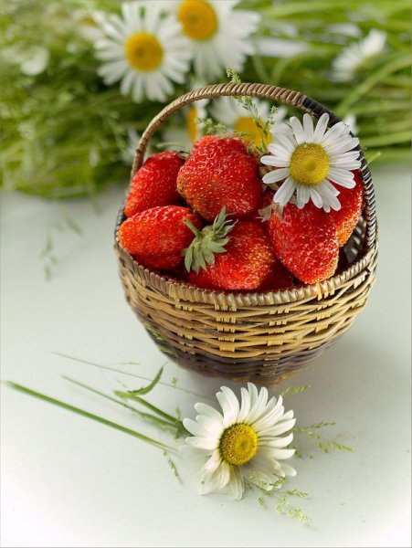 Открытка Арбуз