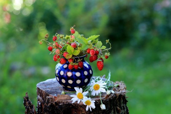 Кусочек лета в ленту