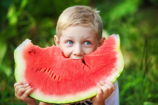 Июньские полевые цветы