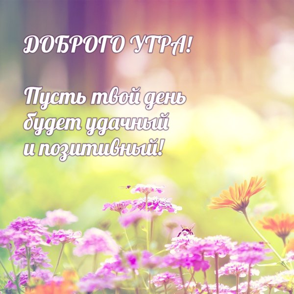 Открытки с добрым утром